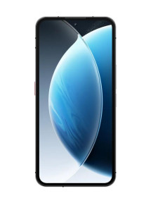 Смартфон Oukitel WP210 12/512Gb Gray